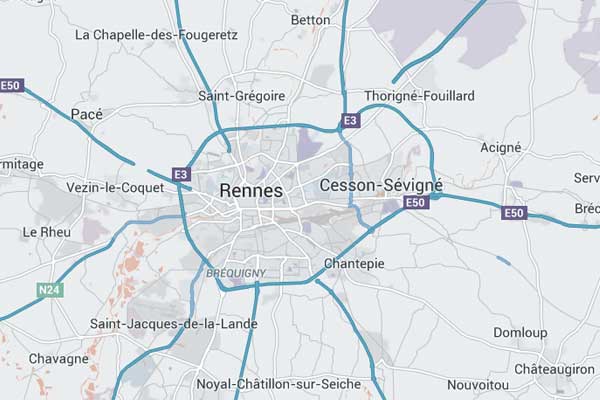 Therapie Coaching Rennes Metropole